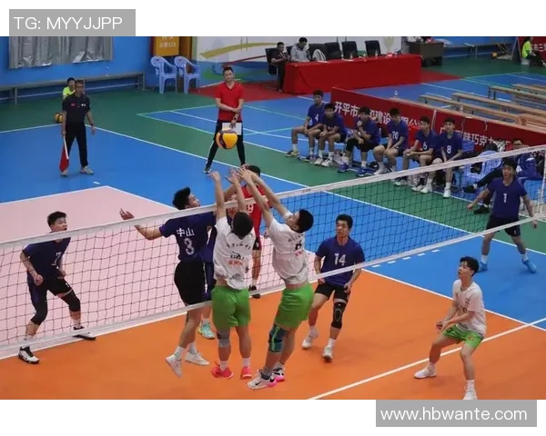 武汉排球队荣登全国排球力量排行榜第一名展现强大实力与团队精神